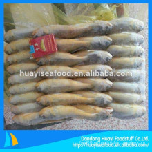 Bloque congelado congelado amarillo barato Croaker en venta